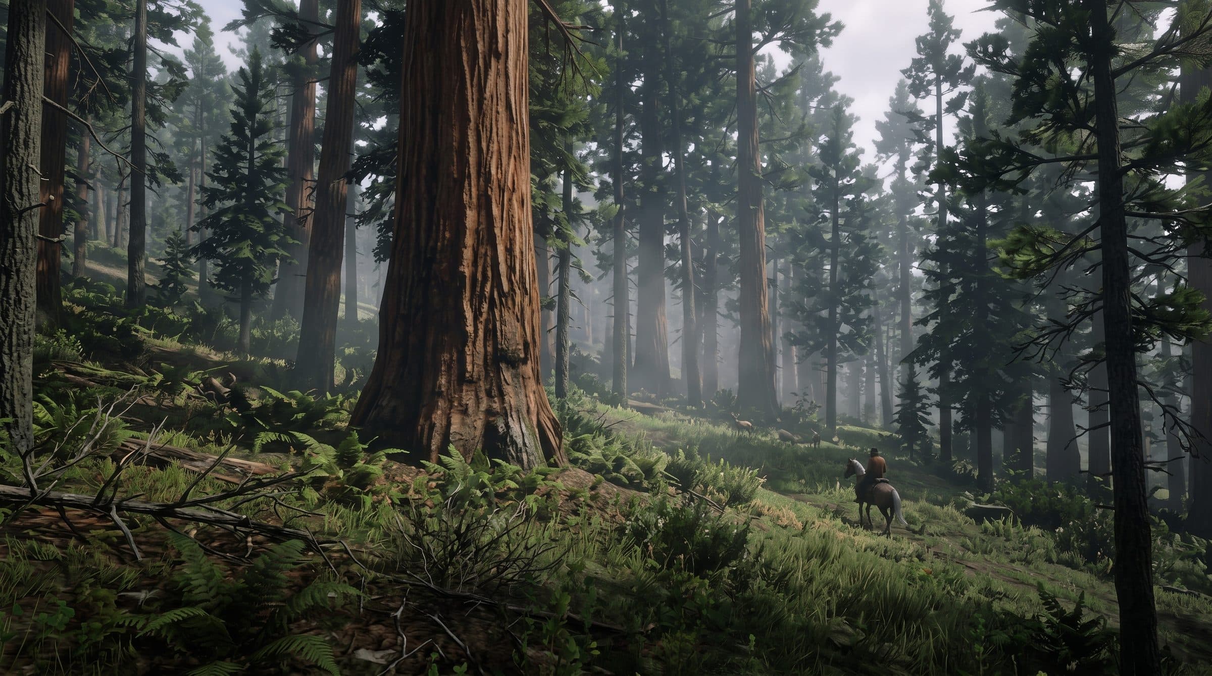 A lone rider small among towering redwoods in morning light, RDR2 roleplay concept art